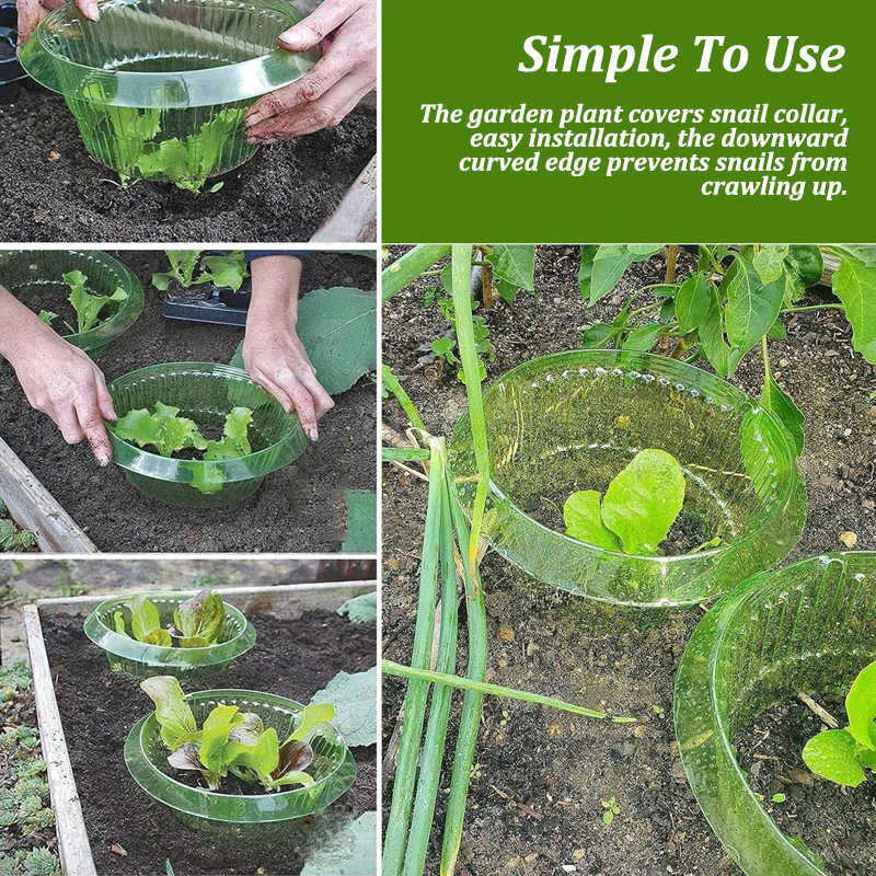 5-25Pcs Plants Slug Protection - Plant Parents ulasan dan harga