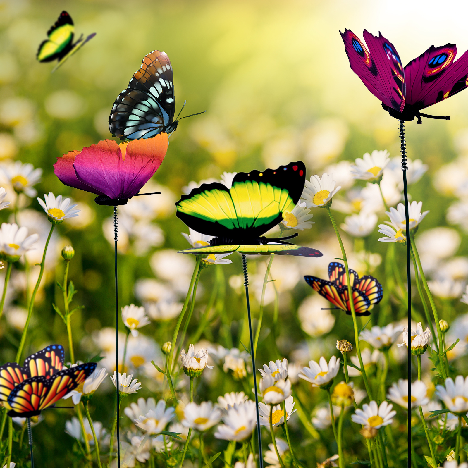 24Pcs/set Butterflies Garden Y - Plant Parents ulasan dan harga