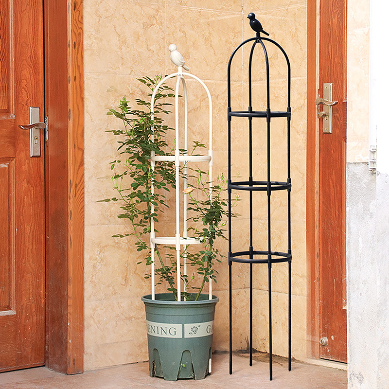 New DIY Flower Vine Climbing P - Plant Parents ulasan dan harga