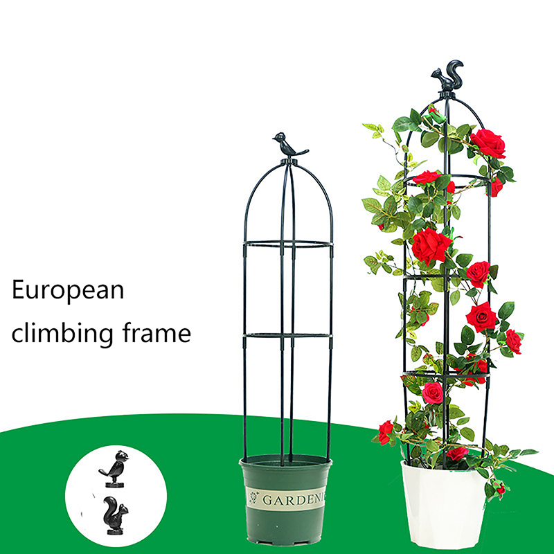 New DIY Flower Vine Climbing P - Plant Parents ulasan dan harga