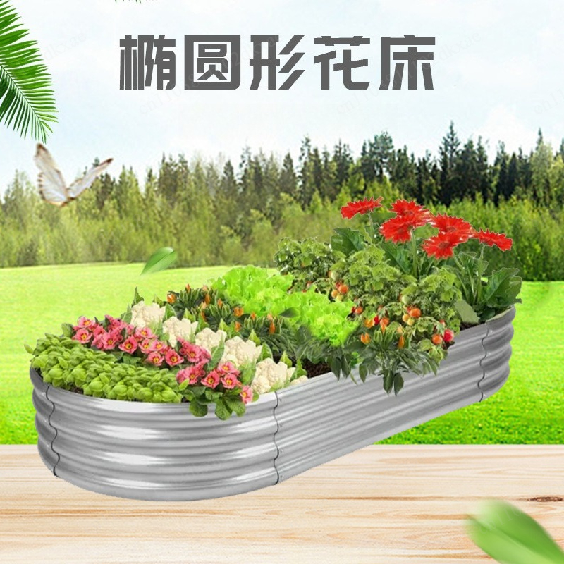 Colorful flower box oval plant - Plant Parents ulasan dan harga