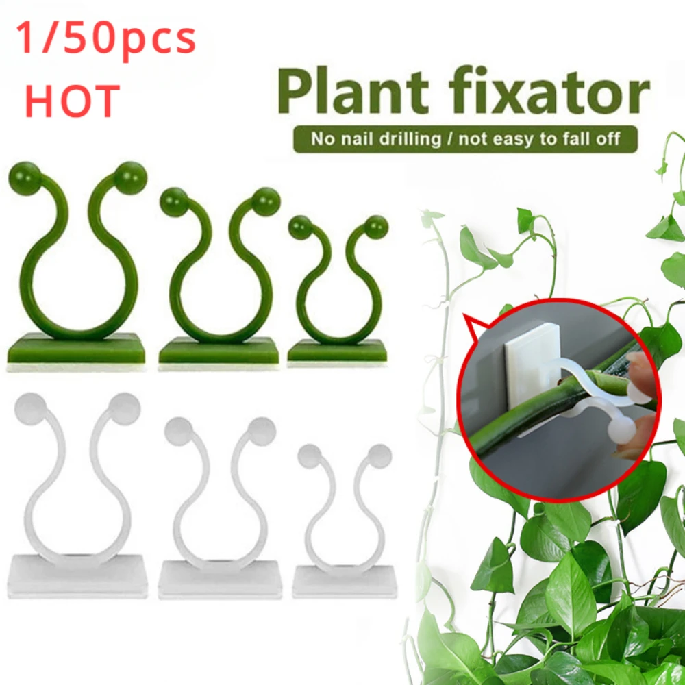 1/30/50Pcs For Garden Accsesor - Plant Parents ulasan dan harga